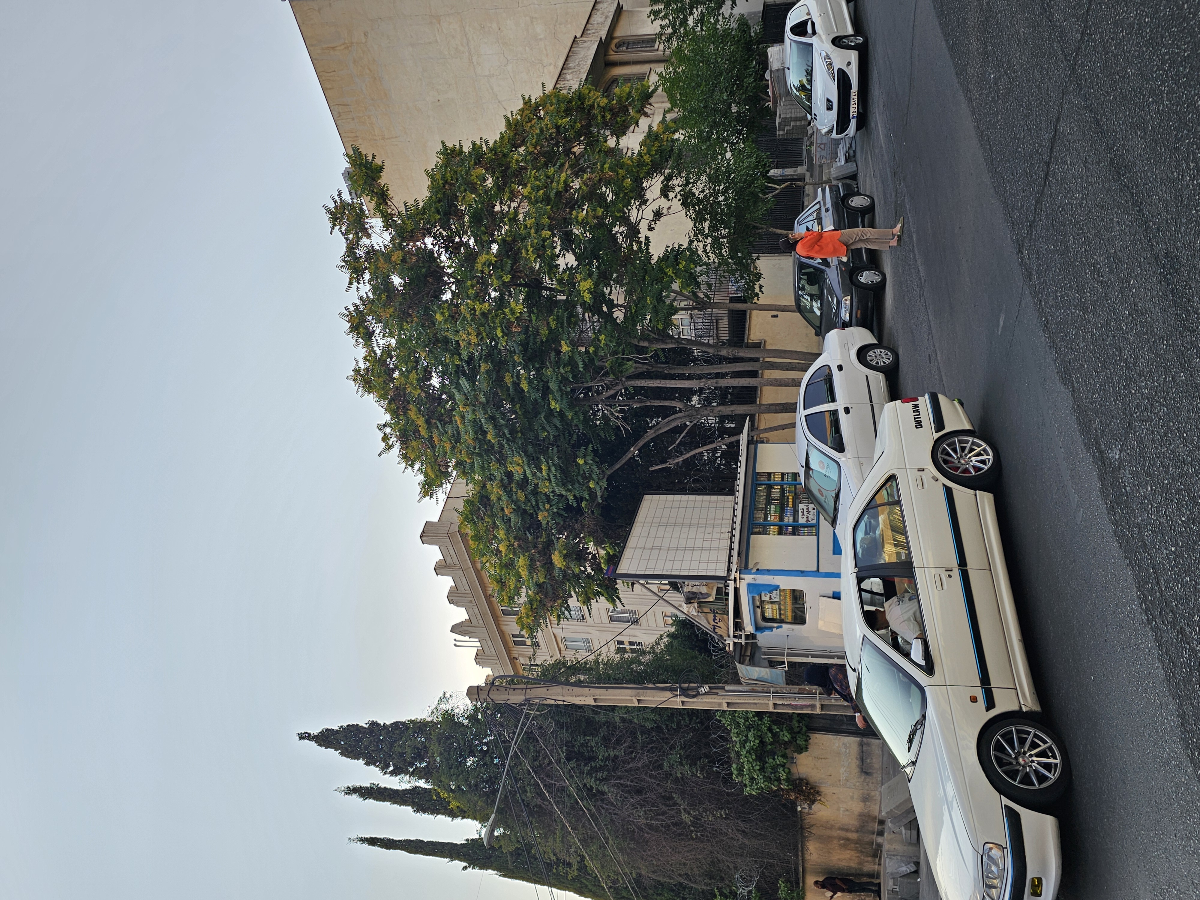 کلنگی بر اصلی نیاوران